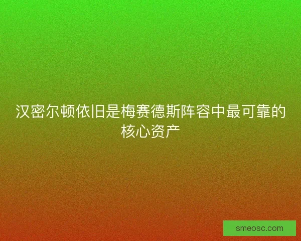汉密尔顿依旧是梅赛德斯阵容中最可靠的核心资产