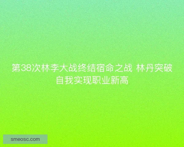 第38次林李大战终结宿命之战 林丹突破自我实现职业新高